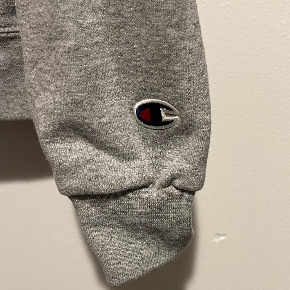 Champion Gray Washington Hoodie - Picture 5 of 6